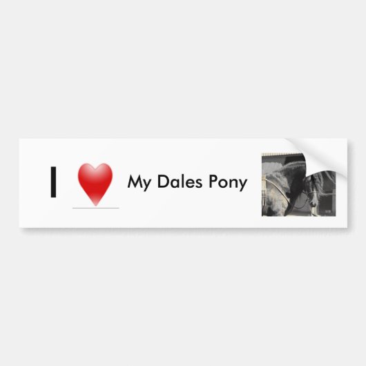 Ik hou van mijn Dales Pony Bumpersticker (Voorkant)