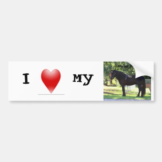 Ik hou van mijn dales Pony bumpersticker (Voorkant)