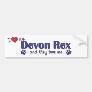 Ik hou van mijn Devon Rex (meerdere katten) Bumpersticker