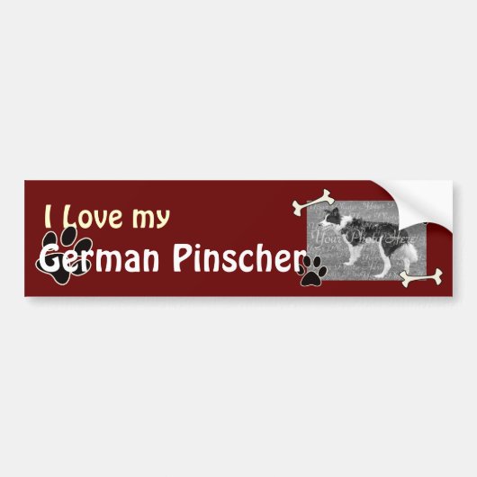 Ik hou van mijn Duitse Pinscher Bumpersticker (Voorkant)