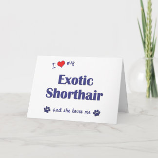 Ik hou van mijn exotische korthaar (Vrouw Cat) Kaart