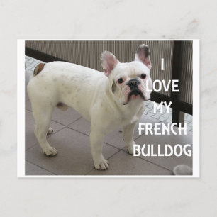 Ik hou van mijn Franse Bulldog Briefkaart