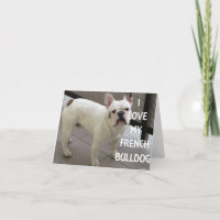 Ik hou van mijn Franse Bulldog