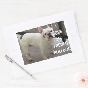 Ik hou van mijn Franse Bulldog Rechthoekige Sticker