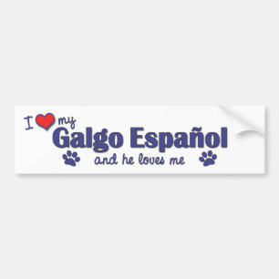 Ik hou van mijn Galgo Espanol (Mannelijke hond) Bumpersticker