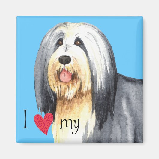 Ik hou van mijn gedekte collie magneet (Voorkant)