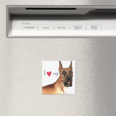 Ik hou van mijn geweldige daan magneet (Insitu (Vaatwasser))