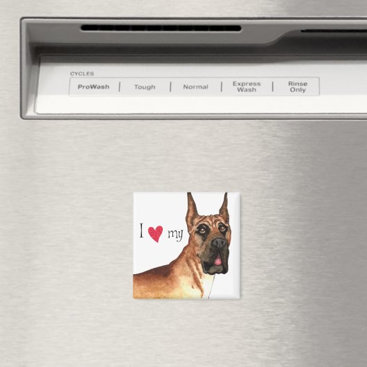 Ik hou van mijn geweldige daan magneet (Insitu (Vaatwasser))
