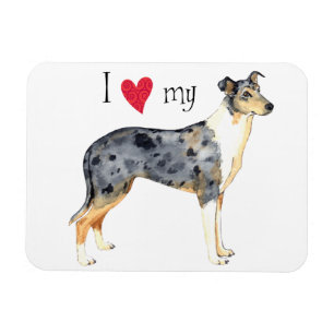 Ik hou van mijn gladde collie magneet