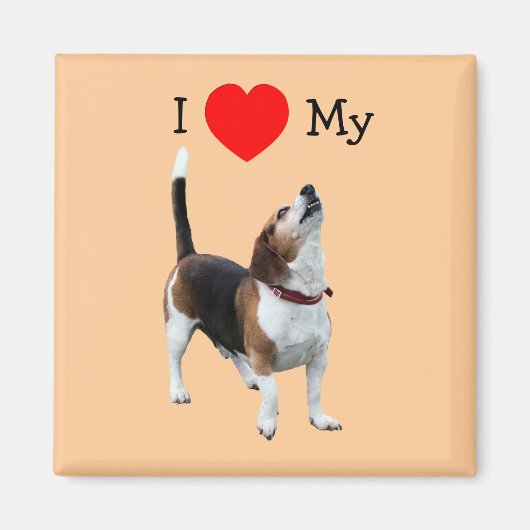 Ik hou van mijn hart Beagle Dog Magnet (Voorkant)