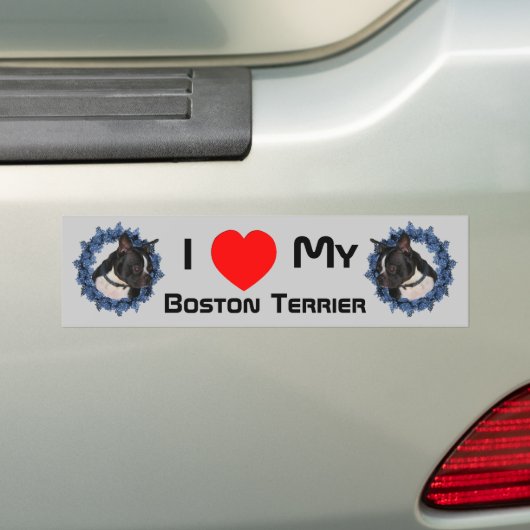 Ik hou van mijn hart, mijn Boston Terrier Bumpersticker (Op auto)
