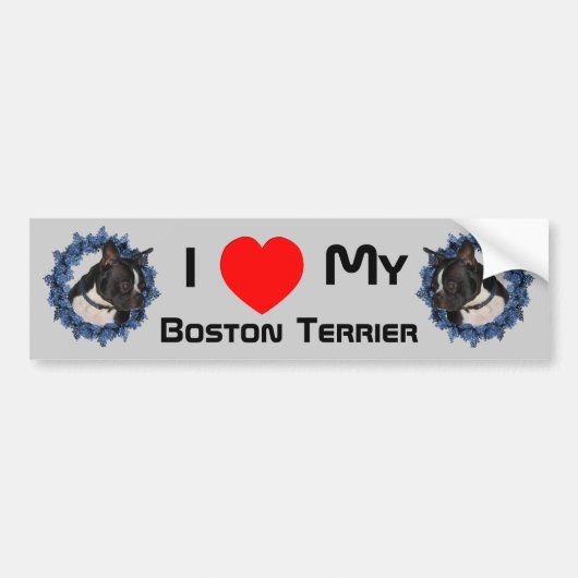 Ik hou van mijn hart, mijn Boston Terrier Bumpersticker (Voorkant)