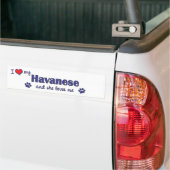 Ik hou van mijn Havanees (Vrouw Dog) Bumpersticker (Op Truck)