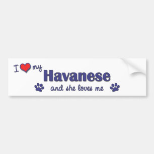 Ik hou van mijn Havanees (Vrouw Dog) Bumpersticker