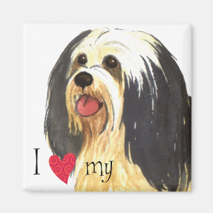 Ik hou van mijn Havanese Magneet