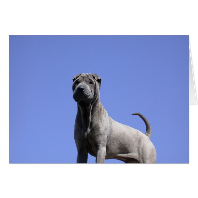 Ik hou van mijn hond... (Voorkant Horizontaal)