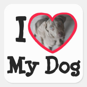 Ik hou van mijn hond, persoonlijke foto-stickers vierkante sticker
