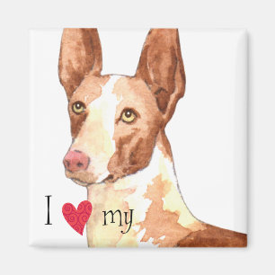 Ik hou van mijn Ibizan Hond Magneet