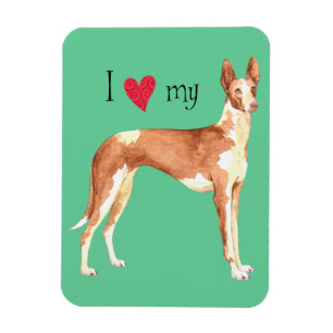 Ik hou van mijn Ibizan Hond Magneet