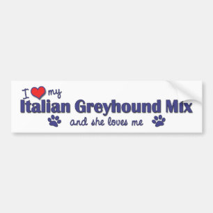 Ik hou van mijn Italiaanse griewindmix (Vrouw Dog) Bumpersticker