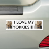 IK HOU VAN MIJN JORKIES!!!! BUMPERSTICKER (Op auto)