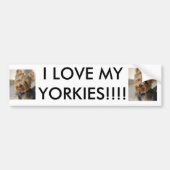 IK HOU VAN MIJN JORKIES!!!! BUMPERSTICKER (Voorkant)