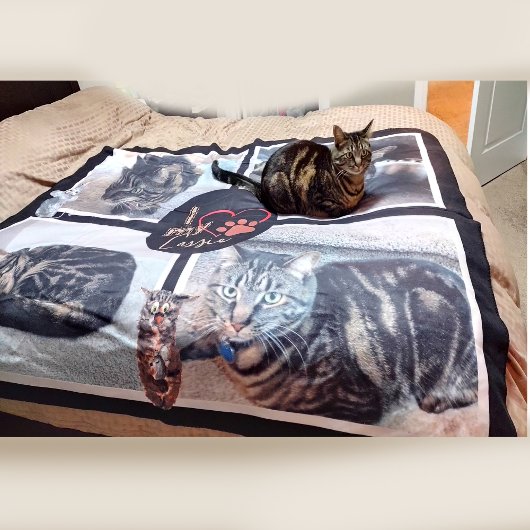 Ik hou van mijn kat sherpa deken