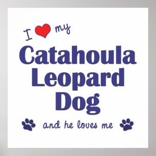 Ik hou van mijn katahoula Leopard Dog (Mannelijke Poster