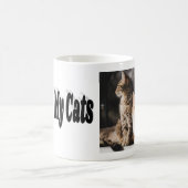 Ik hou van mijn katten foto koffiemok (Center)