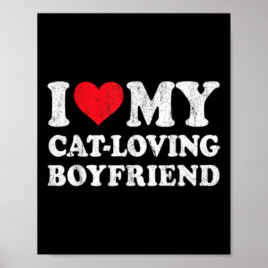 Ik hou van mijn kattenliefhebbende vriend Funny Vr Poster (Voorkant)