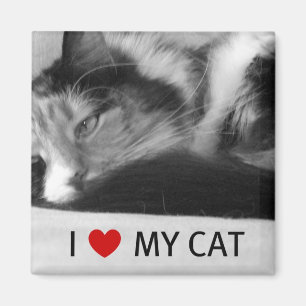 Ik hou van mijn kattenmagneet magneet