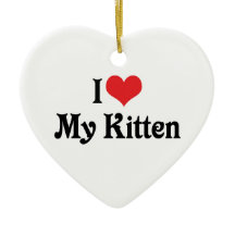 Ik hou van mijn Kitten