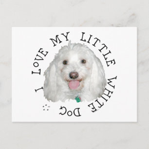 Ik hou van mijn kleine witte (geredde) hond briefkaart