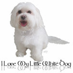Ik hou van mijn kleine witte hond - Havanees Staand Fotobeeldje<br><div class="desc">De kleine witte hond redde dit Havanees in 2010. Nu gelukkig in een eeuwig thuisland, doet de hond dienst als ambassadeur in de wereld voor gered honden overal. Elke aankoop van onze winkel helpt honden te redden die onze reddingsdiensten nodig hebben. Vind de perfecte wenskaarten, briefkaarten en kleding hier, voor...</div>