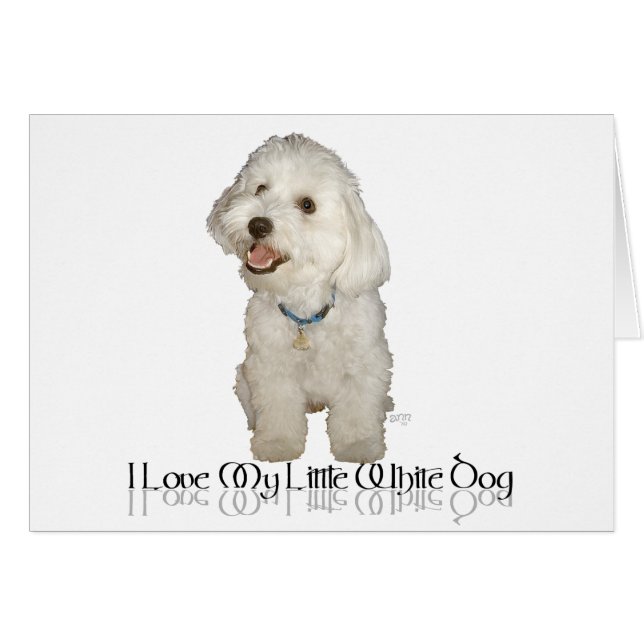 Ik hou van mijn kleine witte hond - Havanese (Voorkant Horizontaal)