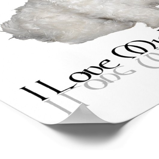 Ik hou van mijn kleine witte hond - Maltees! Poster (Hoek)