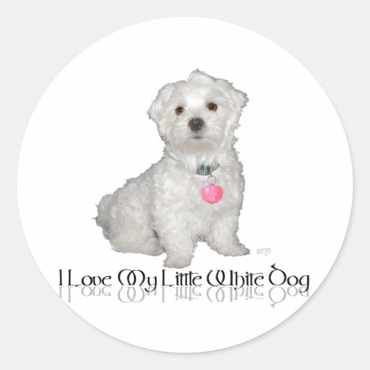 Ik hou van mijn kleine witte hond - Maltees! Ronde Sticker (Voorkant)