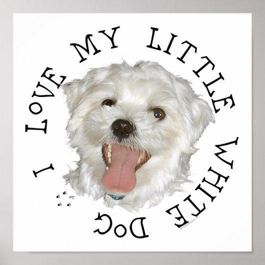 Ik hou van mijn kleine witte hond Maltese Poster (Voorkant)