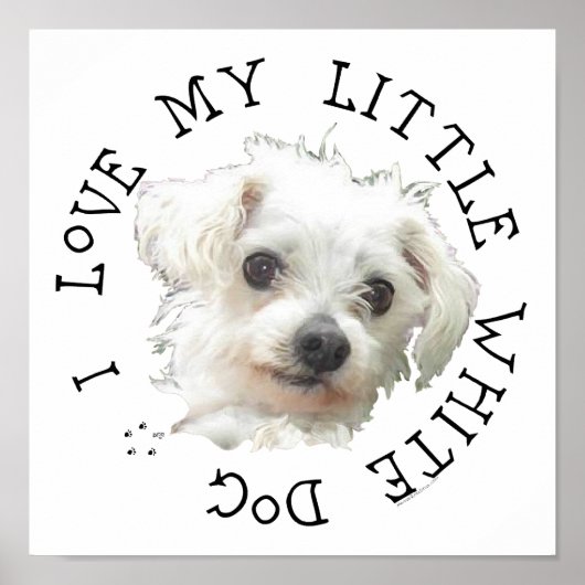 Ik hou van mijn kleine witte hond - Maltese Poster (Voorkant)