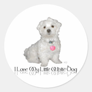 Ik hou van mijn kleine witte hond - Maltese ! Ronde Sticker