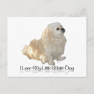 Ik hou van mijn kleine witte hond - Pekingees ! Briefkaart