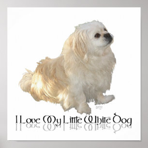 Ik hou van mijn kleine witte hond - Pekingees ! Poster