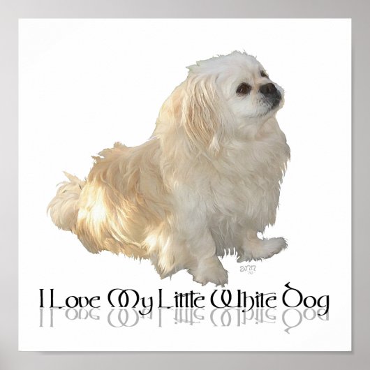 Ik hou van mijn kleine witte hond - Pekingees ! Poster (Voorkant)