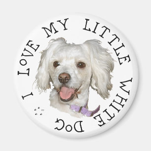 Ik hou van mijn kleine witte hond Poodle / Bichon  Magneet