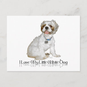 Ik hou van mijn kleine witte hond - Shih Tzu Briefkaart