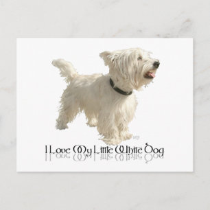 Ik hou van mijn kleine witte hond - Westie Briefkaart