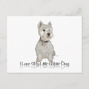Ik hou van mijn kleine witte hond - Westie Briefkaart