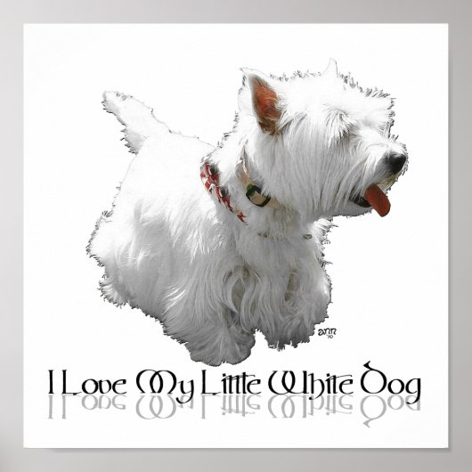 Ik hou van mijn kleine witte hond - Westie Poster (Voorkant)