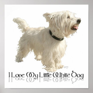Ik hou van mijn kleine witte hond - Westie Poster