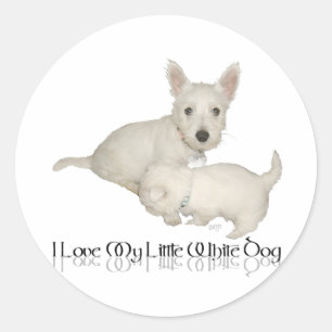 Ik hou van mijn kleine witte hond - Westie Puppies Ronde Sticker
